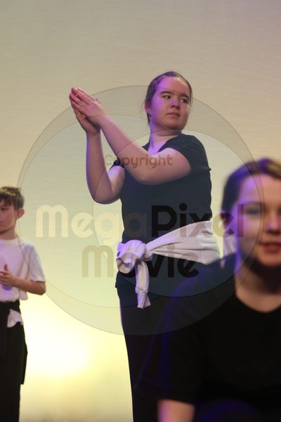 Let's Dance - Image 7313