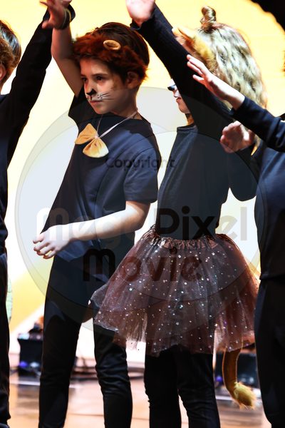 Let's Dance - Image 696A1997