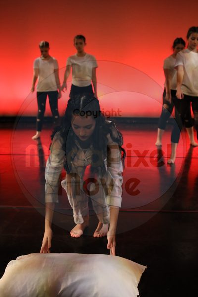 Let's Dance - Image 5040