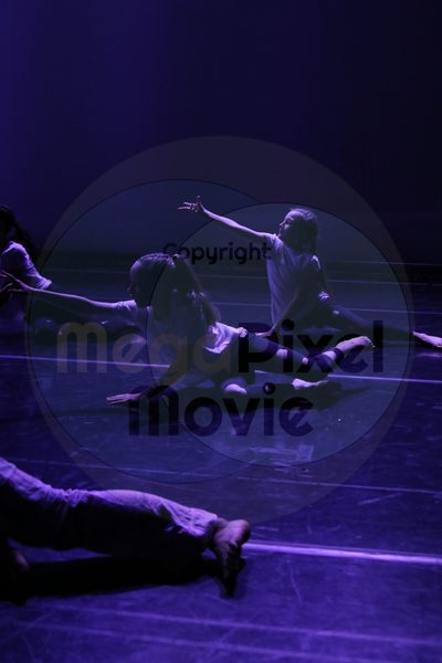 Let's Dance - Image 5078