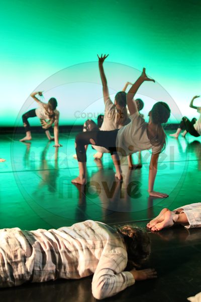 Let's Dance - Image 5126
