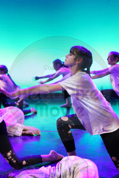 Let's Dance - Image 5316