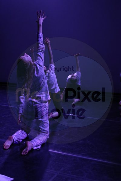Let's Dance - Image 5415