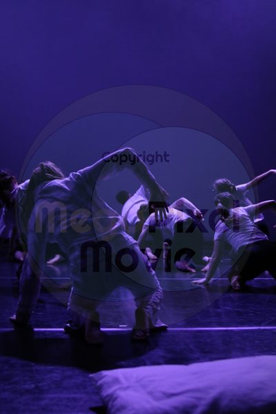 Let's Dance - Image 5423