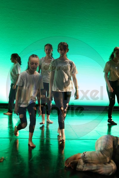Let's Dance - Image 5515