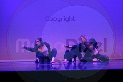 Let's Dance - Image 4012