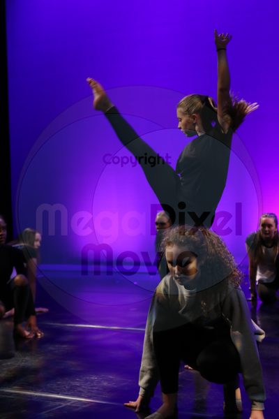 Let's Dance - Image 7248