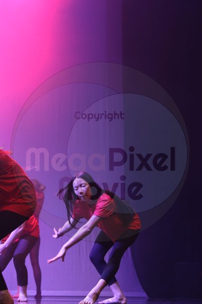 Let's Dance - Image 7456