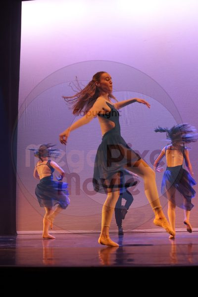 Let's Dance - Image 4746