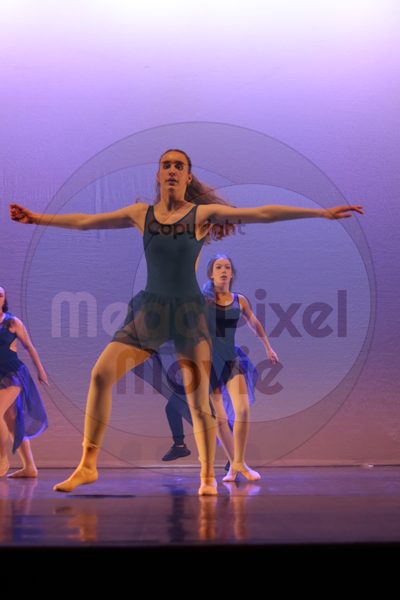 Let's Dance - Image 4787