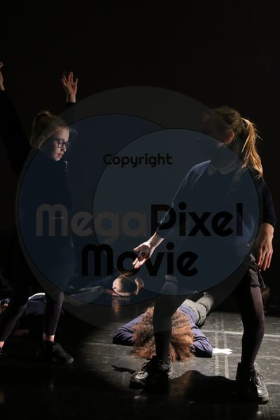 Let's Dance - Image 3962