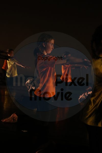 Let's Dance - Image 9488
