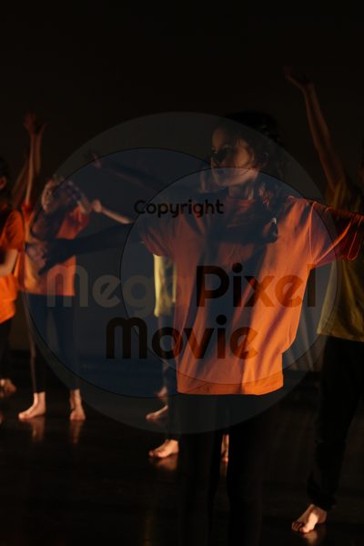 Let's Dance - Image 9499