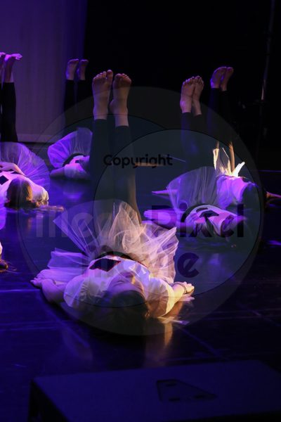 Let's Dance - Image 1795