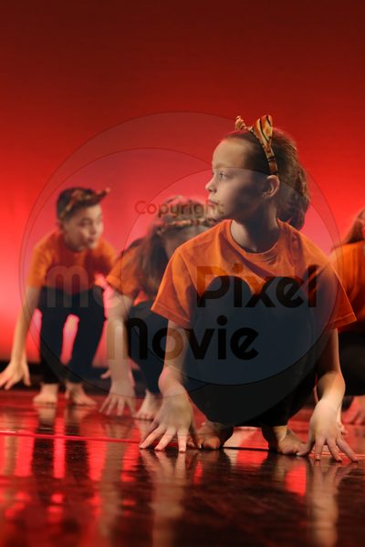 Let's Dance - Image 5163