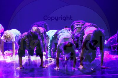 Let's Dance - Image 8796