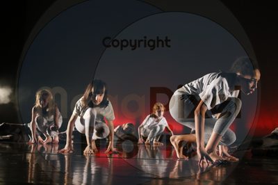 Let's Dance - Image 0015