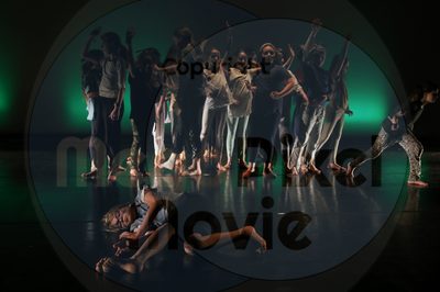 Let's Dance - Image 3983