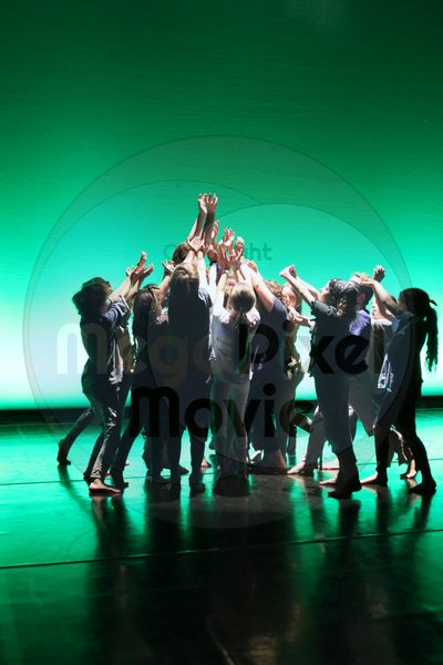 Let's Dance - Image 4338