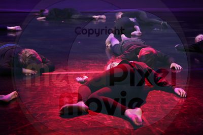Let's Dance - Image 7238