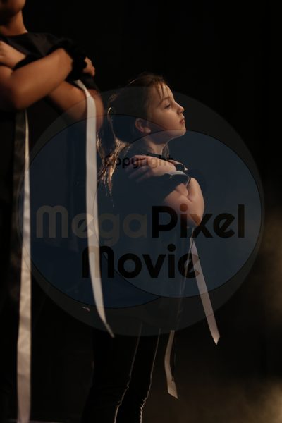 Let's Dance - Image 5784
