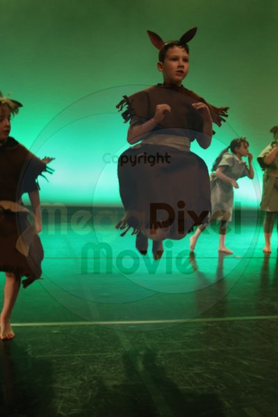 Let's Dance - Image 0373