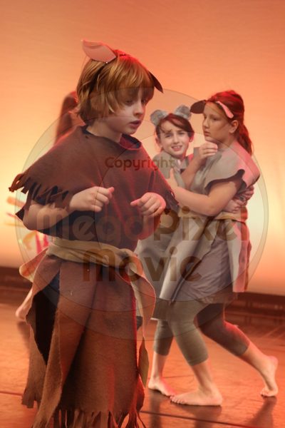 Let's Dance - Image 0410