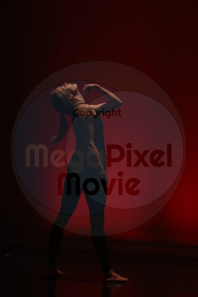 Let's Dance - Image 9047