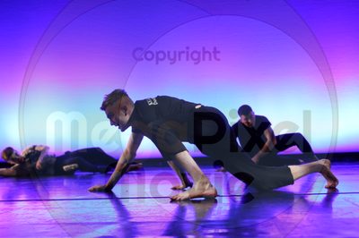 Let's Dance - Image 8040