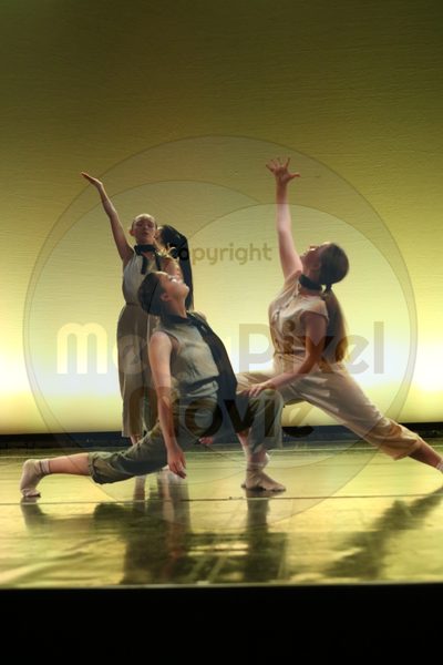 Let's Dance - Image 8959