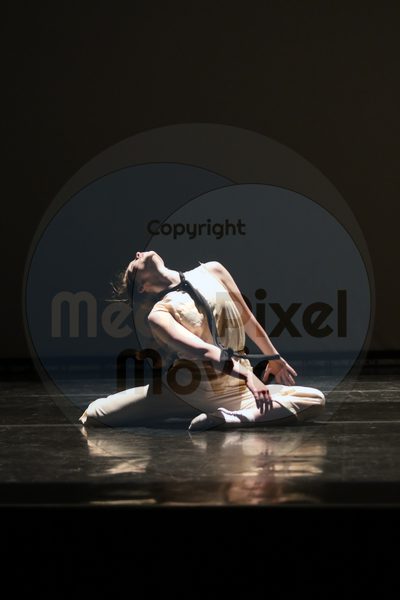 Let's Dance - Image 9053