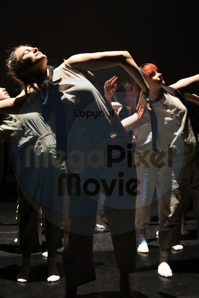 Let's Dance - Image 9106