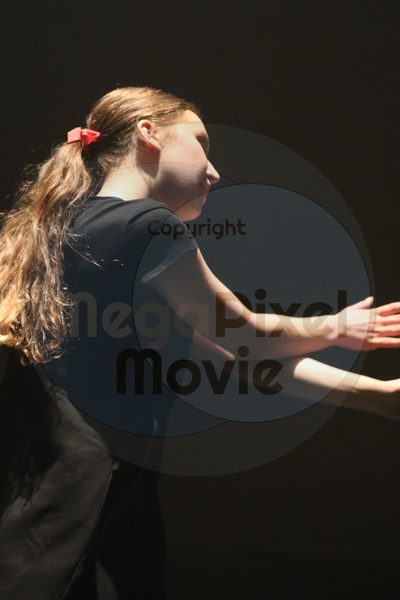 Let's Dance - Image 4022