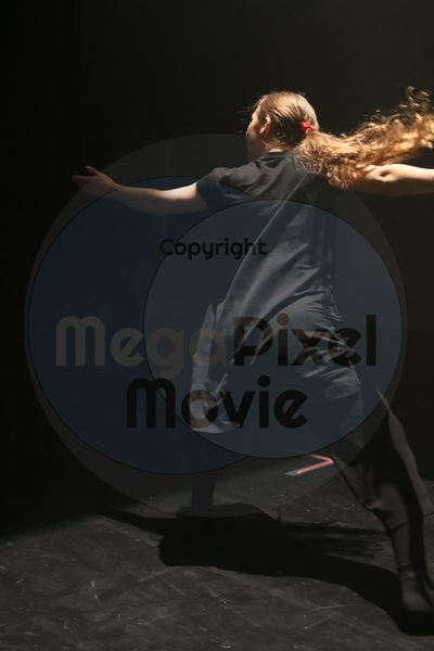 Let's Dance - Image 4025