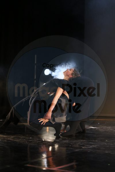 Let's Dance - Image 4237