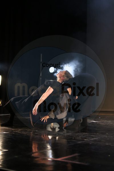 Let's Dance - Image 4238