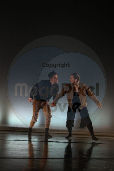 Let's Dance - Image 3295