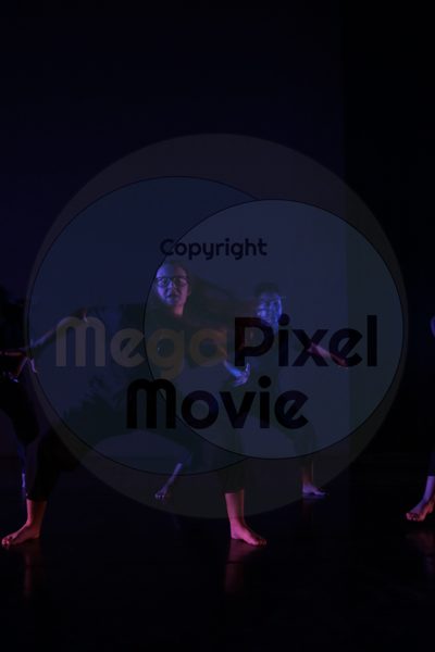Let's Dance - Image 5754