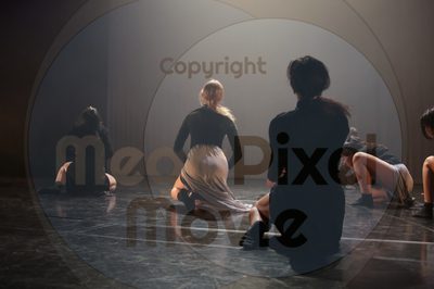 Let's Dance - Image 4687