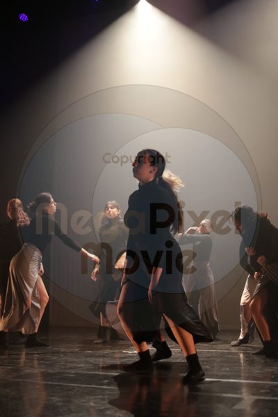 Let's Dance - Image 4711