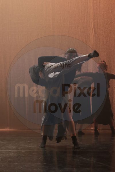 Let's Dance - Image 4775