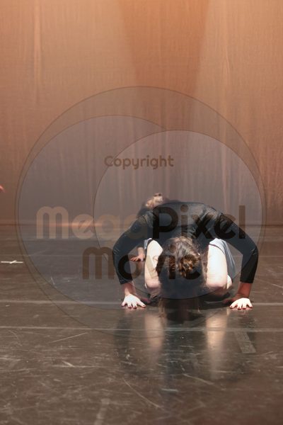 Let's Dance - Image 4818