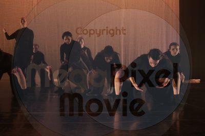 Let's Dance - Image 4868
