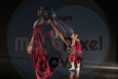 Let's Dance - Image 1774