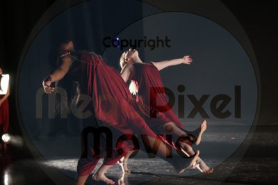 Let's Dance - Image 1784