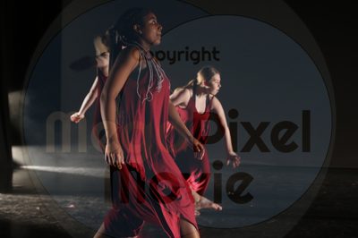 Let's Dance - Image 1786