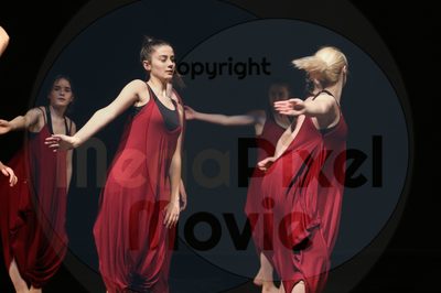 Let's Dance - Image 1983