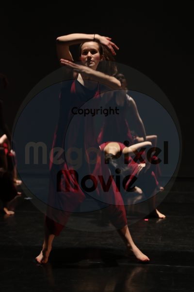 Let's Dance - Image 2142