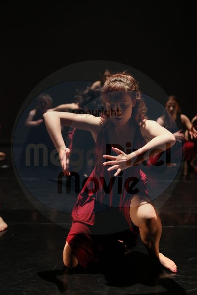 Let's Dance - Image 2162