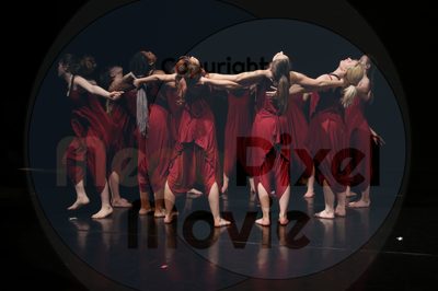 Let's Dance - Image 2250
